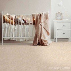 The Stainmaster PetProtect Collection - Husky A1263 The Stainmaster PetProtect Collection - Husky A1263
